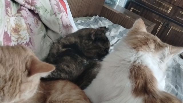 К хорошему массажисту всегда очередь