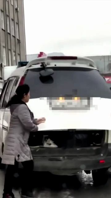 Безразмерный автомобиль