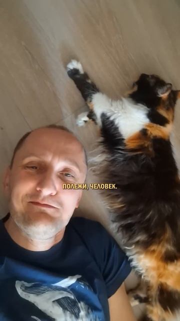 Уверенность котов #кот