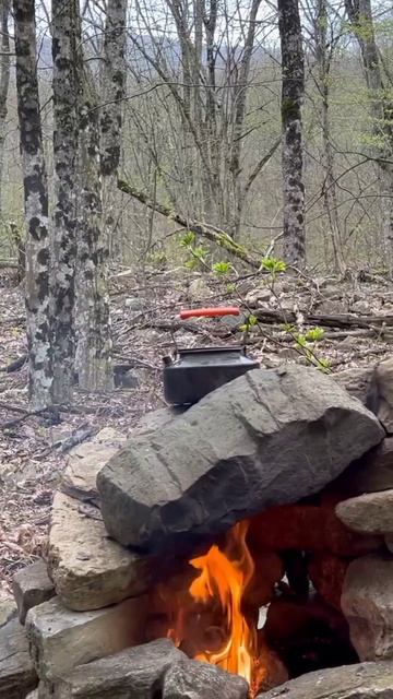 Каменная печь и брусничный морс