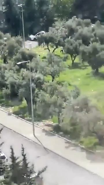 Второй за два дня случай стрельбы в школе в Турции: есть погибшие и раненые