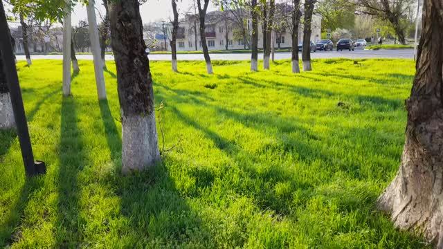 Шёл, шёл и опочки - чей то труп лежит...оказался трупик...16.04.2026.