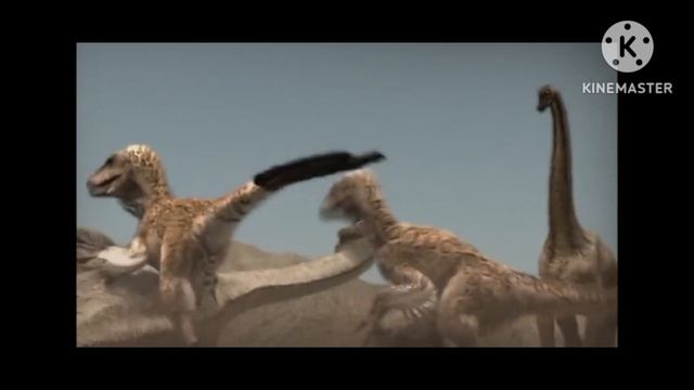 When Animals ATTACK!