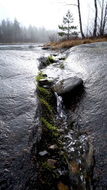 Трещина, в которую весна всегда возвращается