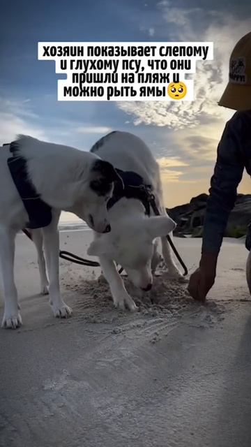 Человечная забота🤗))