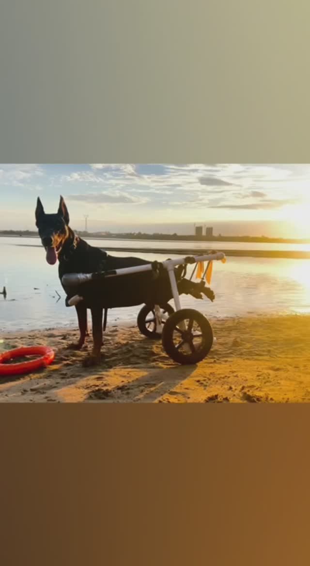 Наша девочка (