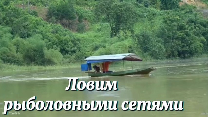 Ловим рыболовными сетями в сезон дождей, когда уровень воды высокий.