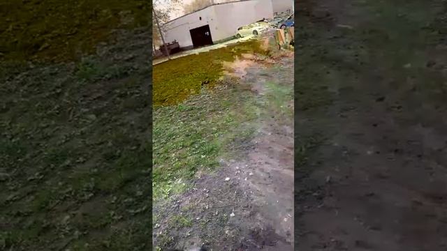 Покатушки на багги | 16-апр-2026