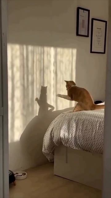 Игорь Лычёв - узнай и полюби свою 