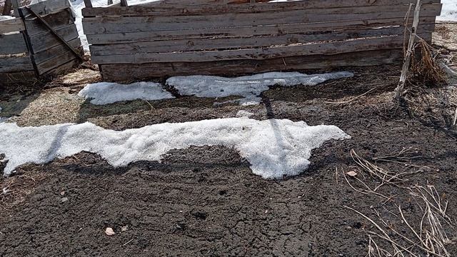 Мой огородик🙃🥰