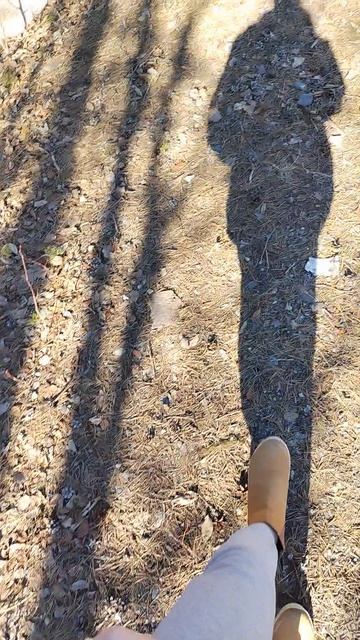 Ждём заданий