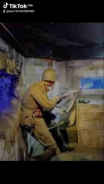 12663.mp4 Елена Дружиненко Воркута