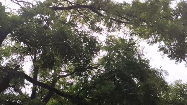 Один из дней города Евпатории | 22 сентября 2021 г | Крым ХАН БАТОН XAH 6ATOH | VID_20210922_152024