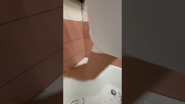 Герметизация душевой кабины , замена герметика