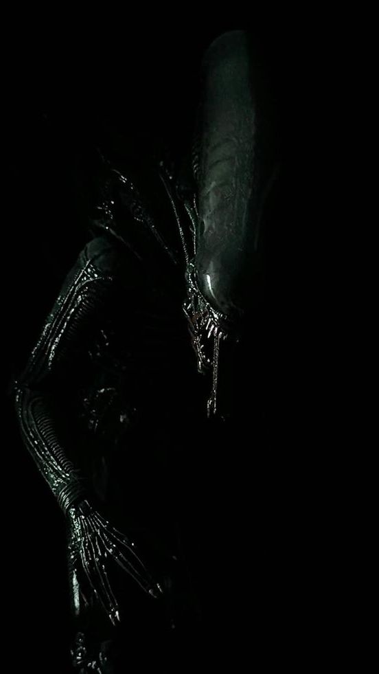 Ты не вершина пищевой цепи