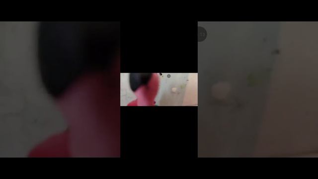 рякцыя на стинкитаим глава 1 по 3