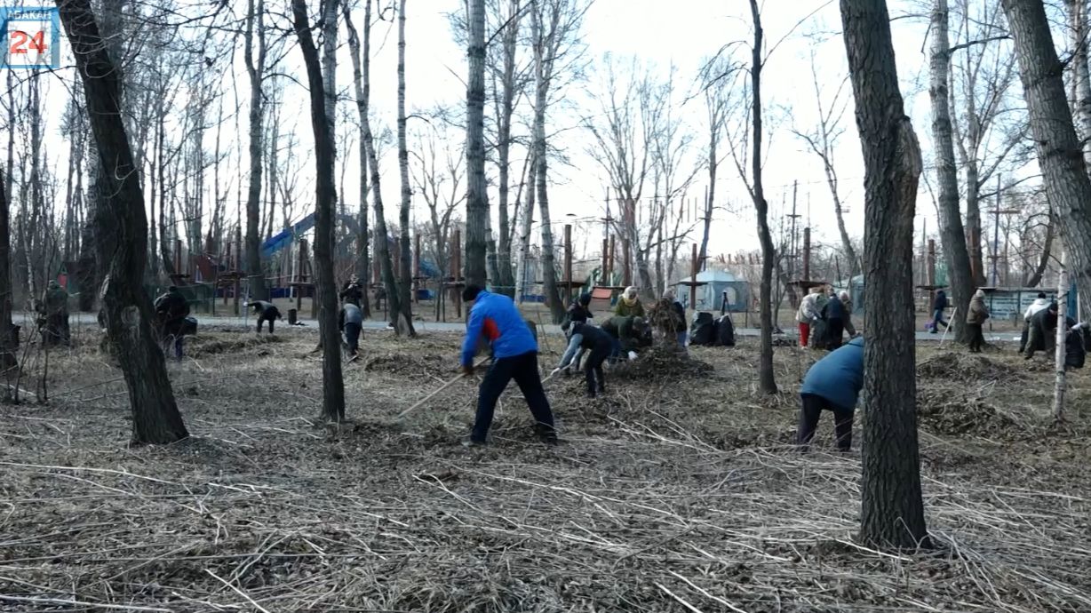 Абаканская зона отдыха стала чище - порядок здесь навели около сотни активистов