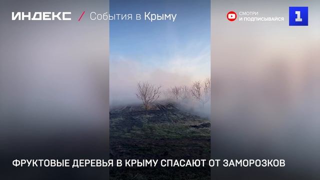 Фруктовые деревья в Крыму спасают от заморозков