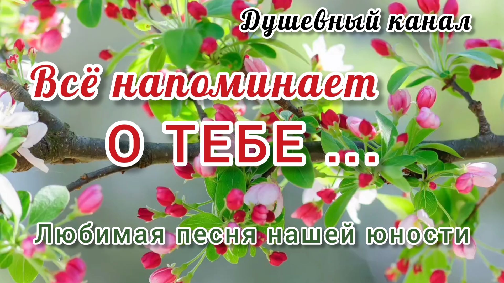 ЛЮБИМАЯ ПЕСНЯ🎶🎤🎵 НАШЕЙ ЮНОСТИ. ВСЁ НАПОМИНАЕТ О ТЕБЕ