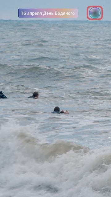 Сёрферы 🇷🇺