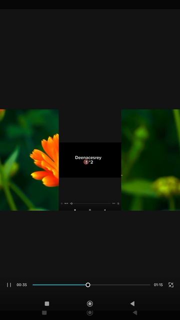 Ordinal Level 112 «Meter Fuctio».