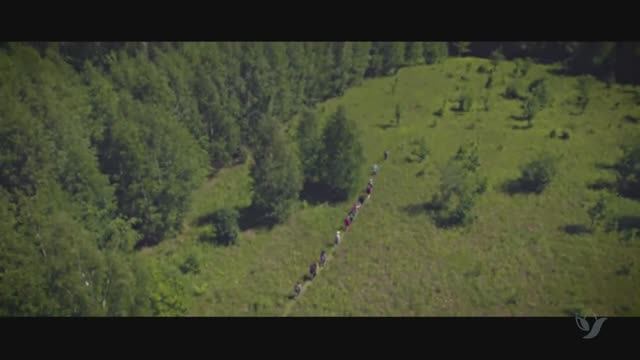 Волжская тропа