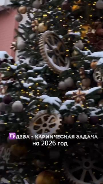 КАРМИЧЕСКАЯ ЗАДАЧА ДЕВ В 2026