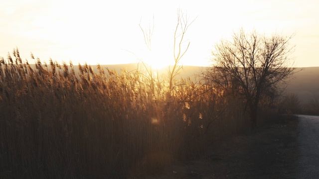 Промо Тропа Охотника