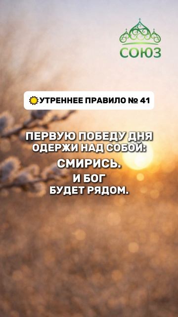 Утреннее правило №41