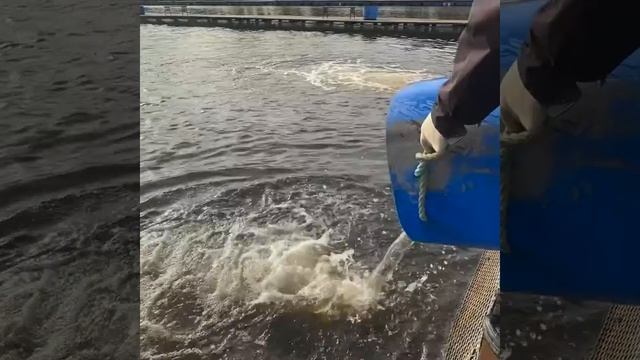 РК Савельево