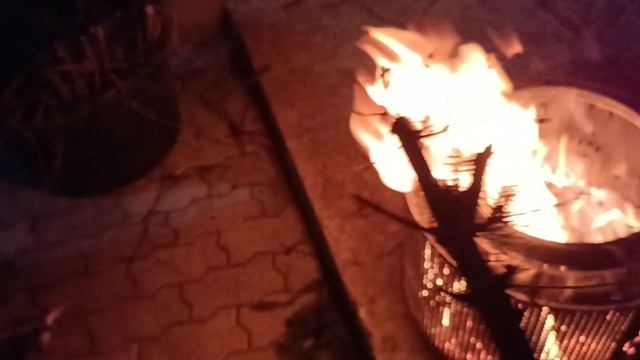 16.04.26.Напугала соседей.