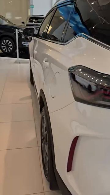 T7 Нижегородец Левобережный