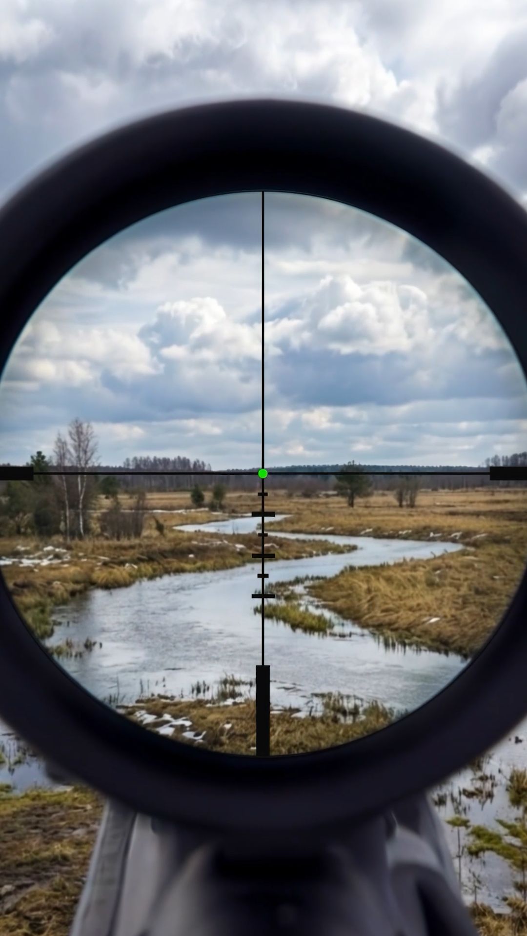 Прицелы для охоты 2026: Fiber Green с зелёной подсветкой