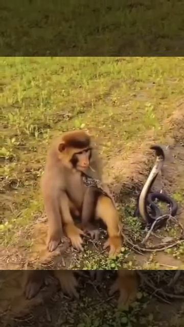 Когда вы уже 10 лет в браке и ты привык ко всему.