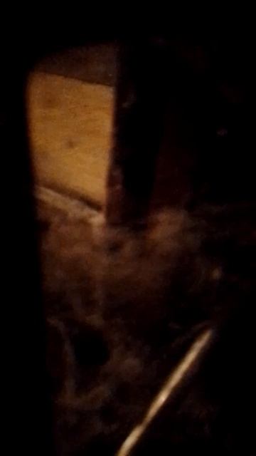 Помогите уехать от маргинала! В такой обстановке не заработать! Сб 5336690144598952