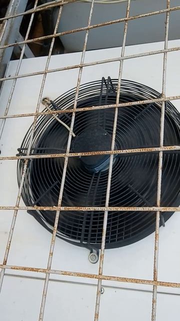 VID_20260416_163238401.mp4