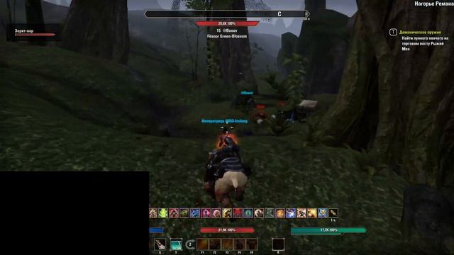 The Elder Scrolls Online (17)