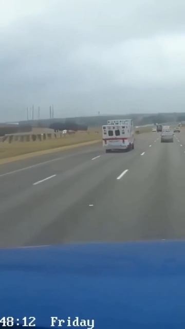 дерзкий побег 🤣