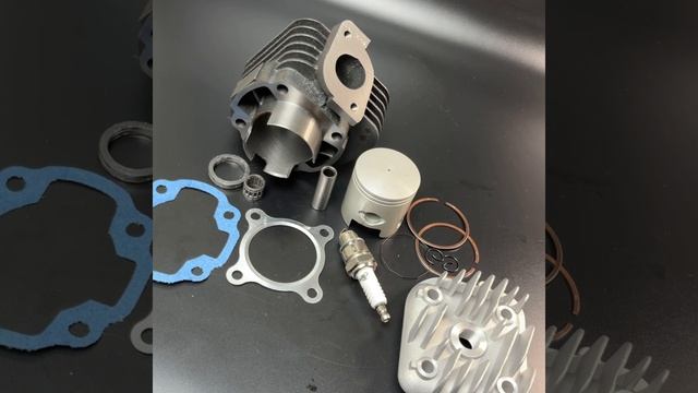 поршневая (цпг) Стелс тактик 1e40qmb (65 кубов 44мм) Д.