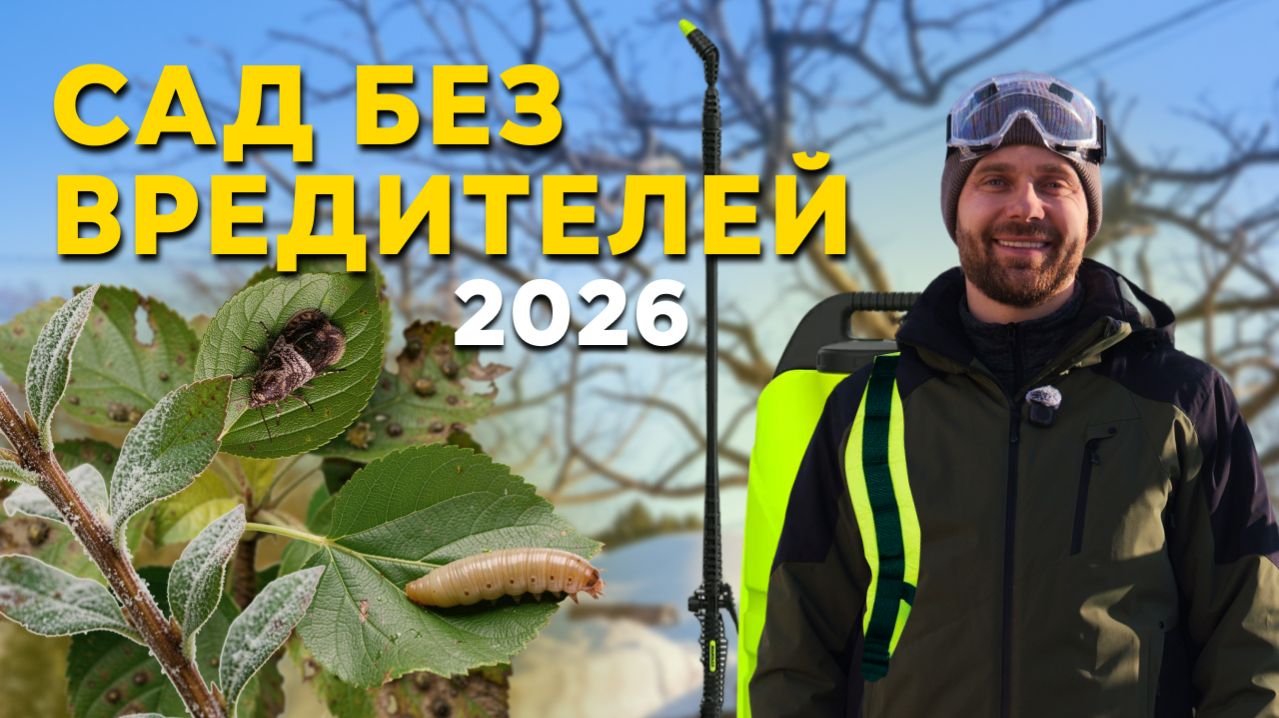 НЕ ПРОПУСТИТЕ! ОБРАБОТКА ДЕРЕВЬЕВ ВЕСНОЙ ОТ ПАРШИ И ВРЕДИТЕЛЕЙ — ПОКАЗЫВАЮ ВСЁ