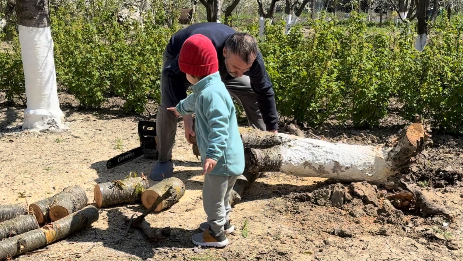 Жизнь в деревне! Дагестан сегодня!