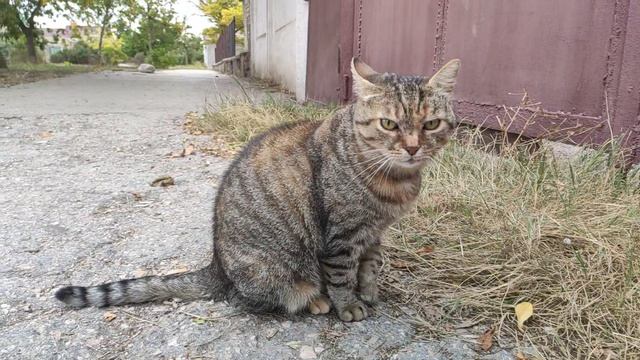 Один из дней города Евпатории | 22 сентября 2021 г | Крым ХАН БАТОН XAH 6ATOH | VID_20210922_152235