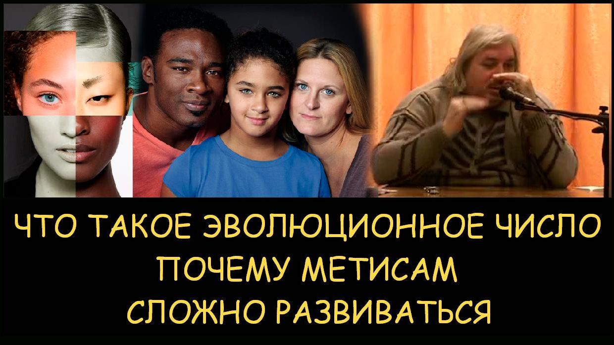 ✅ Н.Левашов. Что такое эволюционное число. Почему метисам сложно развиваться