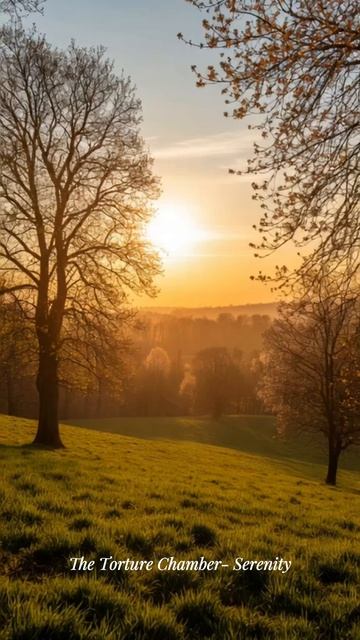 The Torture Chamber- Serenity