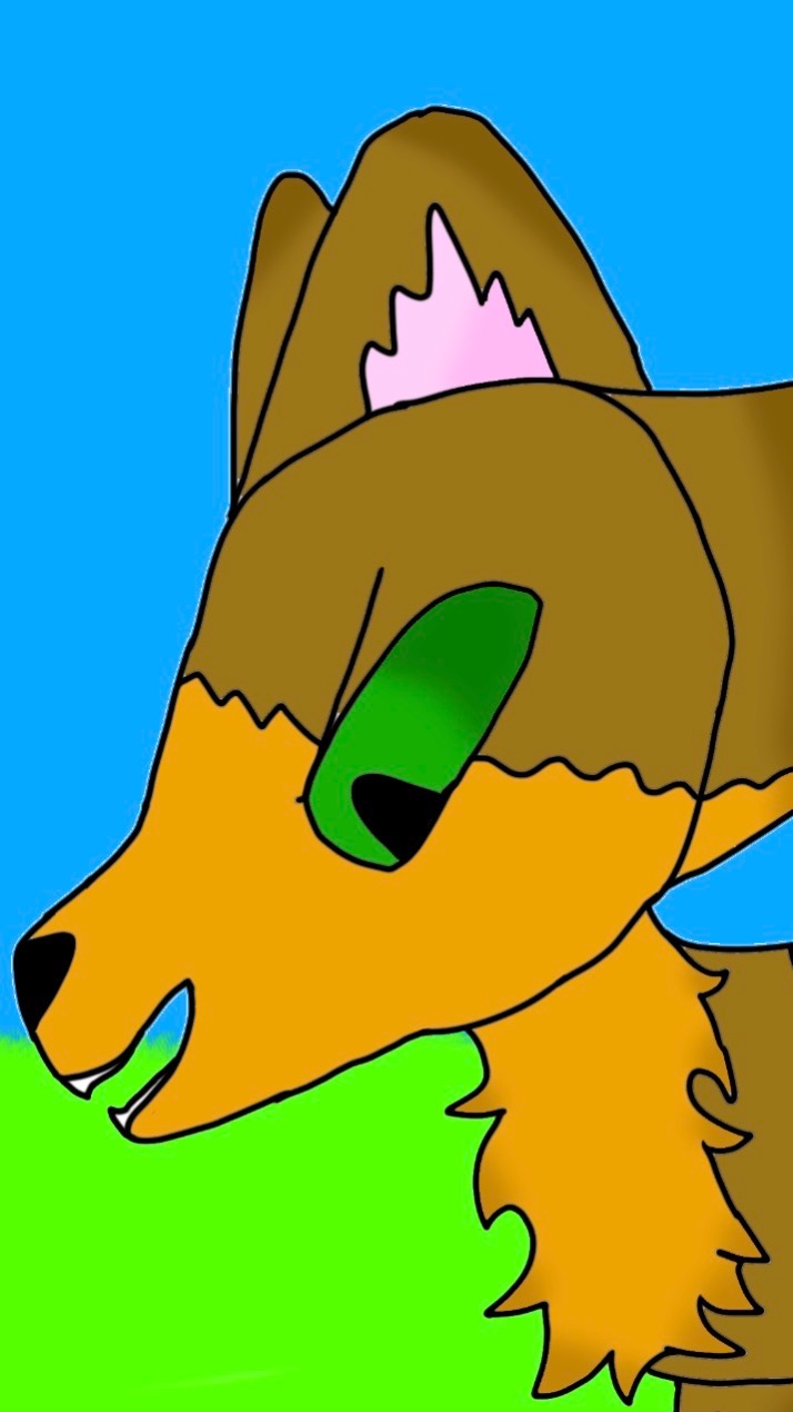 КОНКУРС! ОПИСАНИЕ 👇