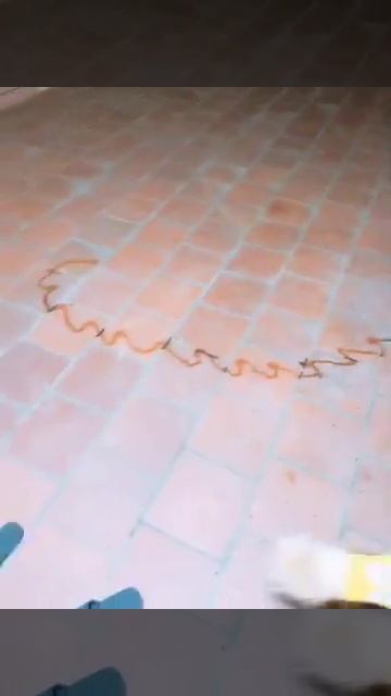 Такой концовки я и сам не ожидал (271)