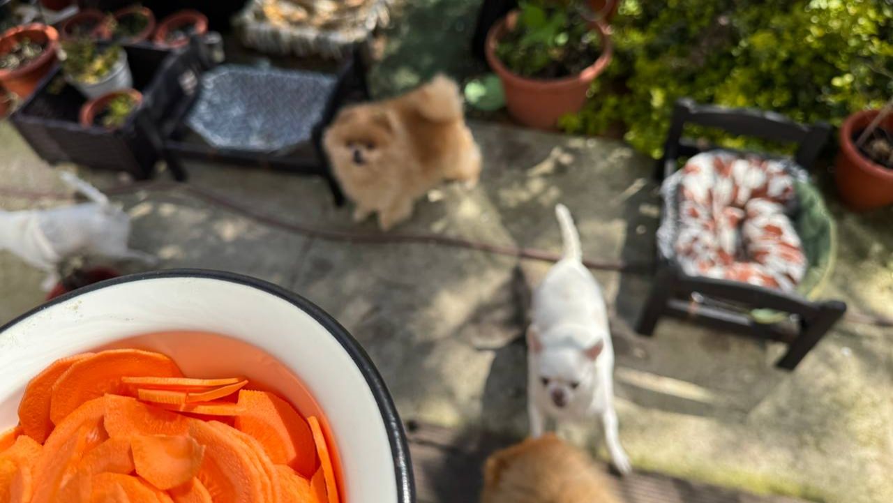 И морковочки погрызли и зубки почистили.