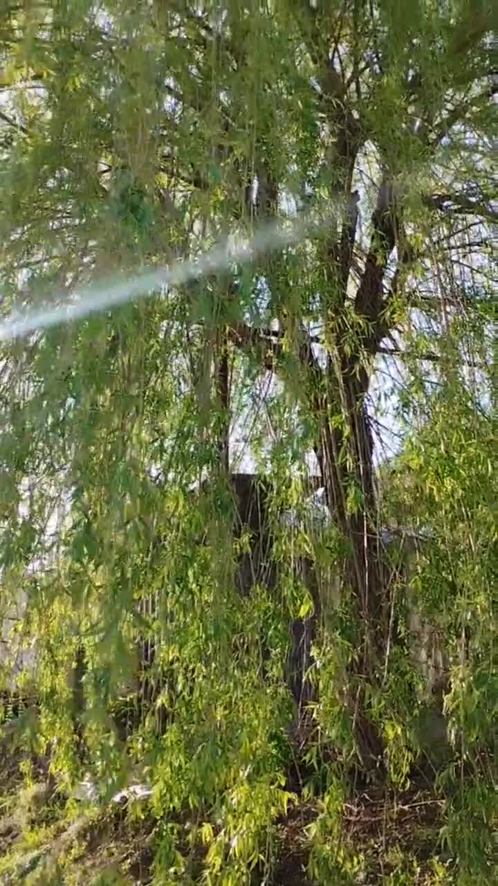 У нас уже жара🫠