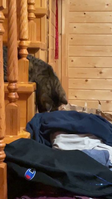 Какая интересная штука