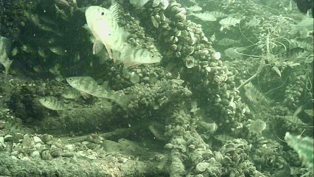 1000015385.mp4Волг ар г.2м.16.04.2026г.